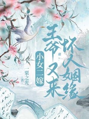小女二嫁，王爷又来坏人姻缘