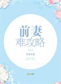 前妻难攻略