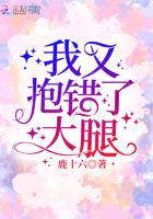 我又抱错了大腿