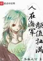 海贼之恋爱系统