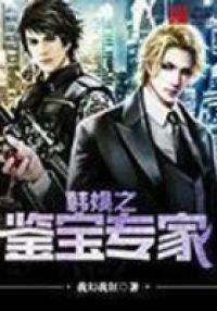 韩娱之鉴宝专家